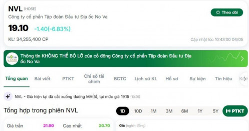 Cú rơi bất ngờ của NVL: Nhà đầu tư không kịp trở tay