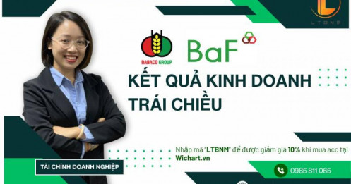 DBC và BAF: Kết quả kinh doanh trái chiều