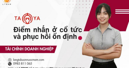 TYA – Điểm nhấn ở cổ tức và phục hồi ổn định