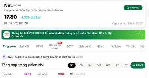 Vì sao cổ phiếu NVL bị bán sàn mạnh?
