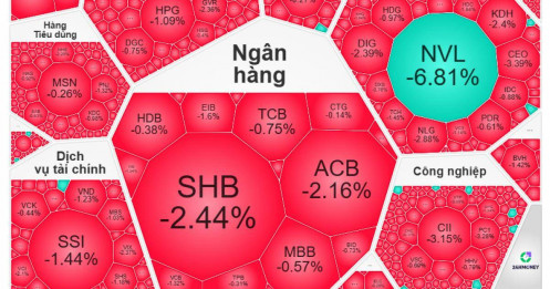 Xanh chỉ số, đỏ cổ phiếu: VN-Index nghịch lý vẫn leo top tăng mạnh nhất châu Á
