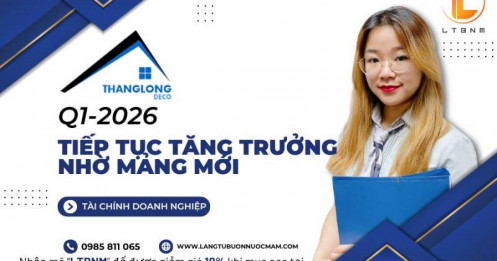 TLD Q1-2026: Tiếp tục tăng trưởng nhờ mảng mới