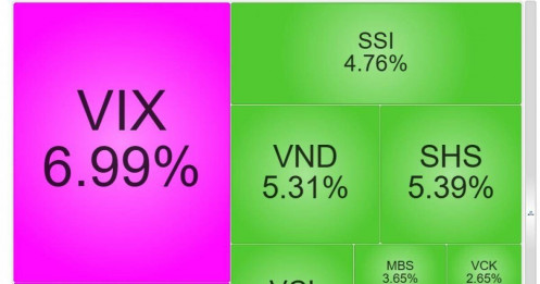 VIX, HCM tím lịm, cổ phiếu chứng khoán đồng loạt tăng mạnh sau tín hiệu nâng hạng