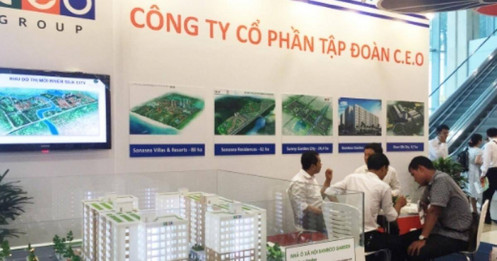 CEO báo lãi Quý 1/2026 cao nhất trong 3 năm, hoàn thành 1/3 kế hoạch lợi nhuận năm 2026