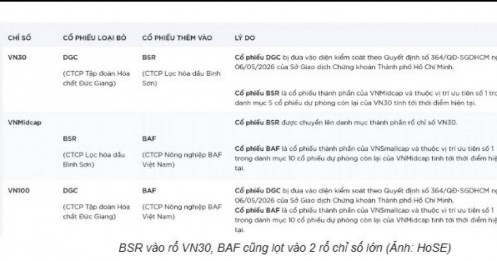 HoSE loại DGC khỏi 4 bộ chỉ số, chuyện gì đang xảy ra?