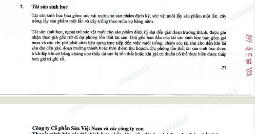 HPG, VNM, HAG... cùng xuất hiện một khoản “lạ” trên BCTC?