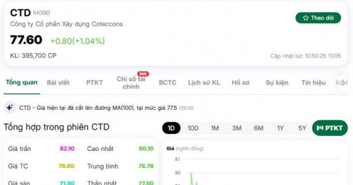 Cổ phiếu CTD được ‘giải cứu’