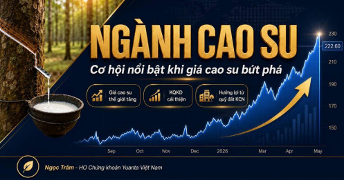 Ngành Cao Su: Khi Giá Hàng Hóa, Quỹ Đất Và Dòng Tiền Cùng Hội Tụ