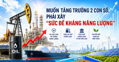 Muốn tăng trưởng hai con số, phải xây “sức đề kháng năng lượng”