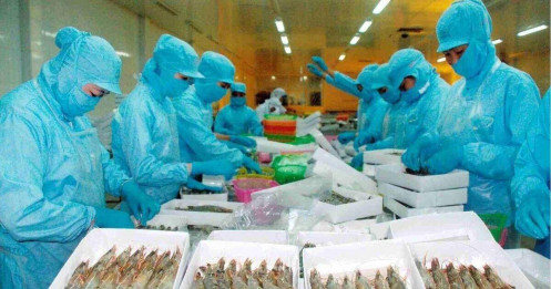 Việt Nam bị Mỹ đưa vào nhóm vi phạm sở hữu trí tuệ nghiêm trọng nhất