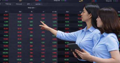 Lựa chọn chiến lược cho danh mục đầu tư hôm nay