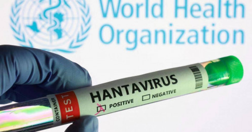 Thế giới siết chặt gọng kìm cách ly trước bóng ma virus Hanta