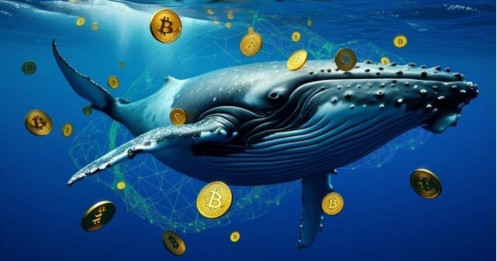 Sau 12 năm không giao dịch, một “cá voi” Bitcoin vừa dịch chuyển tài sản lớn