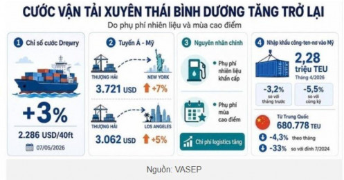 Cước tàu biển tăng trở lại?