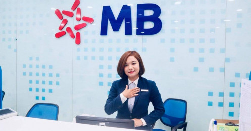 Bài viết HAY của chuyên gia
