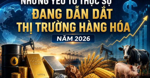 Những yếu tố thực sự đang dẫn dắt thị trường hàng hóa năm 2026