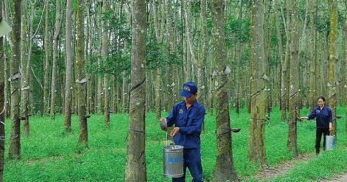Bài viết HAY của chuyên gia