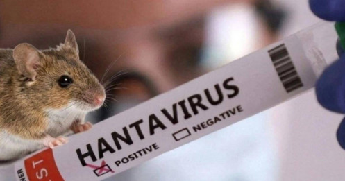 Thảm kịch trên tàu du lịch sang trọng: Virus Hanta khiến nhiều người tử vong, 6 quốc gia báo động