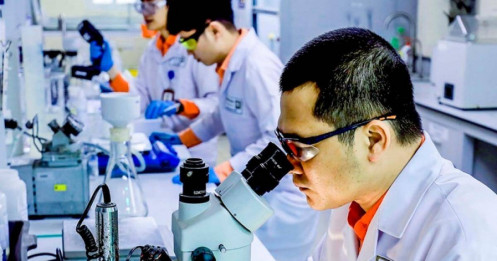 MSR và "cơn khát" vonfram toàn cầu
