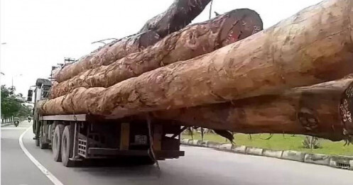Đề xuất ôtô chở quá tải, cồng kềnh không phải dỡ hàng ngay tại chỗ
