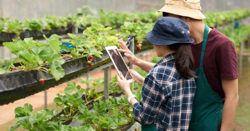 Hướng tín dụng vào nông nghiệp xanh, nông nghiệp số