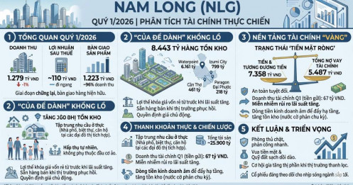 Bài viết HAY của chuyên gia