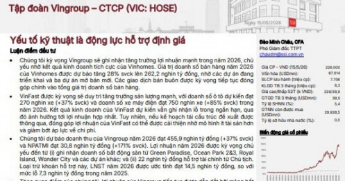Giới phân tích nói gì về triển vọng cổ phiếu Vingroup?