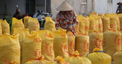 Việt Nam nhập khẩu gạo nhiều hơn cả Trung Quốc, xếp thứ 2 thế giới