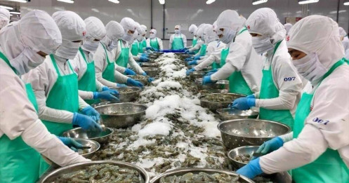 Rào cản thuế quan mới thử thách ngành thủy sản xuất khẩu