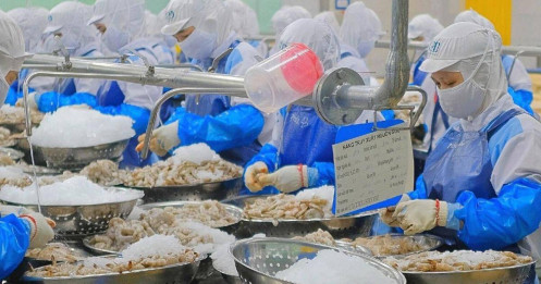 Doanh nghiệp nháo nhào tìm cách đối phó thuế quan của Mỹ