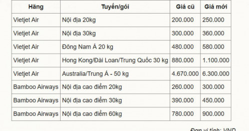 Hãng bay tăng phí hành lý ký gửi trước cao điểm hè