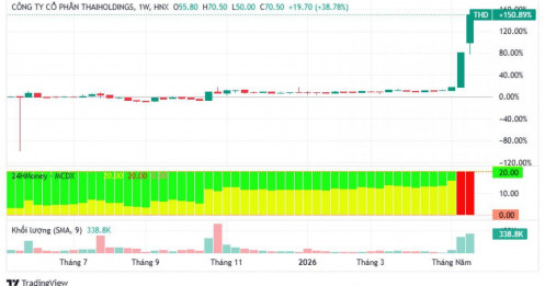 Cổ phiếu THD tăng dựng đứng 127% chỉ sau 11 phiên, điều gì đang xảy ra với Thaiholdings?