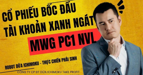 Chứng khoán hôm nay: Cổ phiếu bốc đầu, tài khoản xanh ngát, MWG, NVL, PC1 đang mang tiền về cho mẹ?