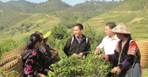 Thay đổi tư duy để giảm nghèo bền vững