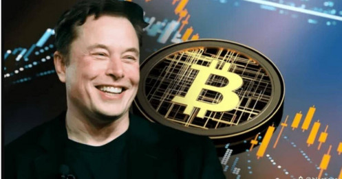 SpaceX bất ngờ lộ lượng Bitcoin trị giá 1,45 tỷ USD trước IPO
