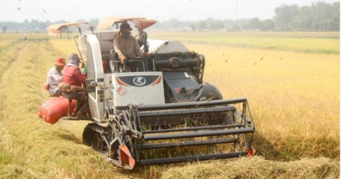 Năm 2026, Việt Nam sẽ nhập tới 3,9 triệu tấn gạo