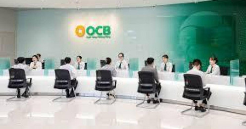 Bài viết HAY của chuyên gia