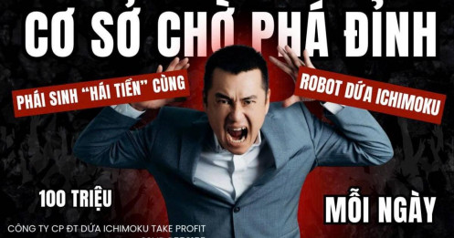 Bài viết HAY của chuyên gia