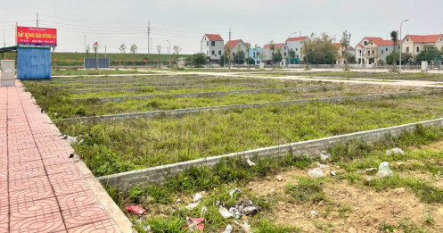 Cú đảo chiều của dòng tiền đầu cơ trên thị trường đất nền