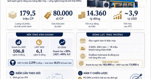 Tổng hợp nhanh DMX IPO – Điện Máy Xanh