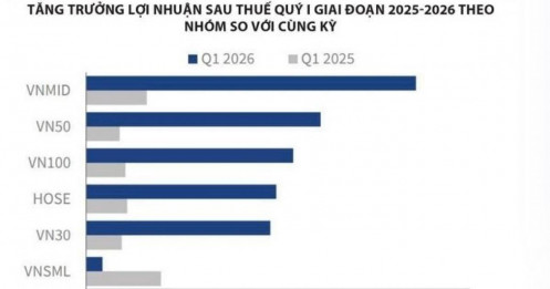 Điều gì khiến dòng tiền rời nhóm VN30?