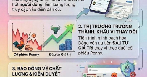 Nguyên nhân đằng sau sự đóng cửa của F319