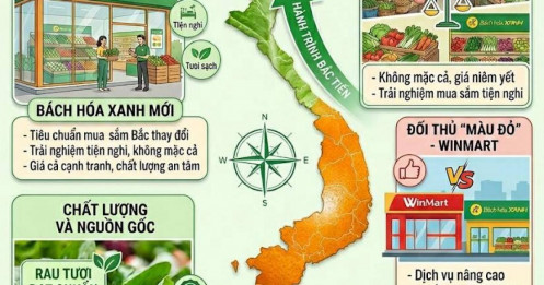 Bách Hóa Xanh Bắc tiến: Cơ hội cạnh tranh trước chợ truyền thống và đối thủ bán lẻ