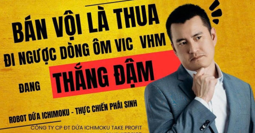 Chứng khoán hôm nay: Bán vội là thua, Nhà đầu tư đi ngược dòng với VIC, VHM đang thắng đậm ra sao?