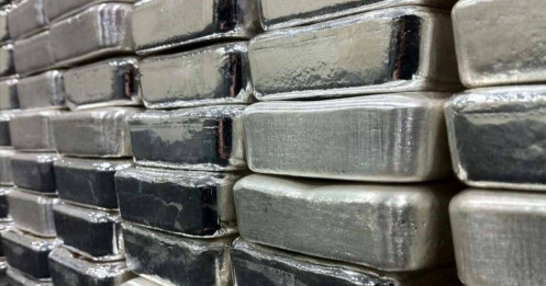 Khi cá mập "tháo chạy" khỏi làn sóng sốt ảo kim loại trắng