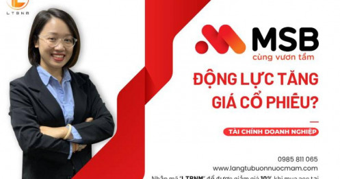 MSB – Động lực tăng giá cổ phiếu?