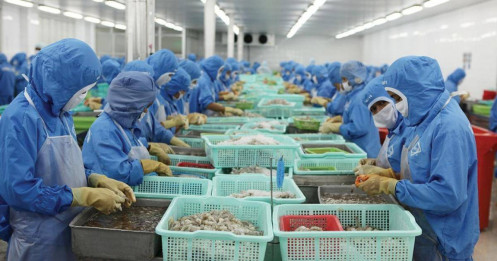 Nhóm xuất khẩu mất đà?