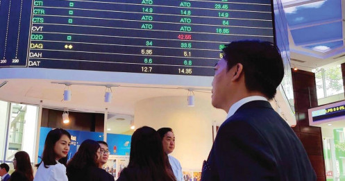 Cuộc "di cư" của dòng tiền vào hầm trú ẩn cổ tức