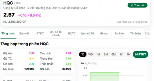 Nhà đầu tư đua lệnh HQC: Hơn 9 triệu cổ phiếu chờ mua giá trần