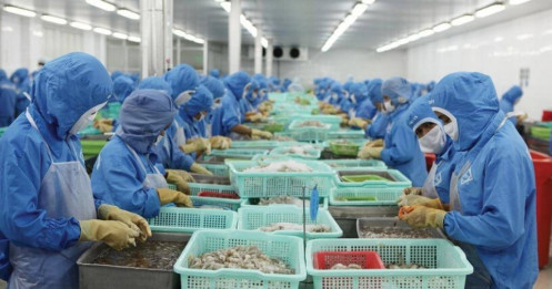 Lợi nhuận không kéo nổi giá cổ phiếu xuất khẩu?